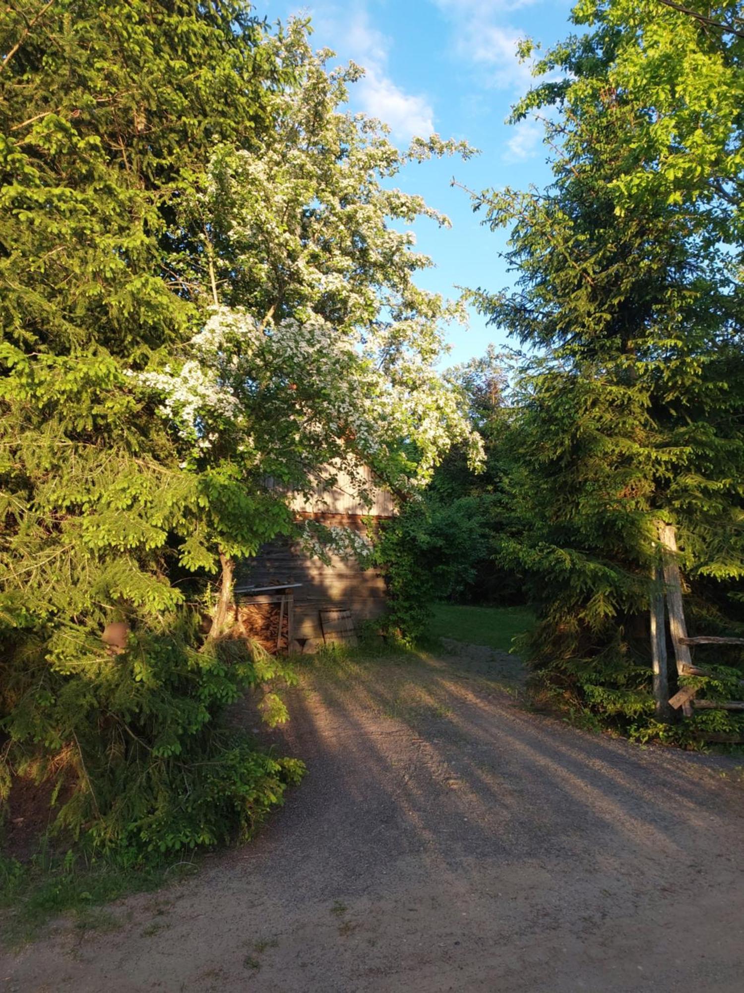 Domek Gajowy Bialowieza Exterior photo